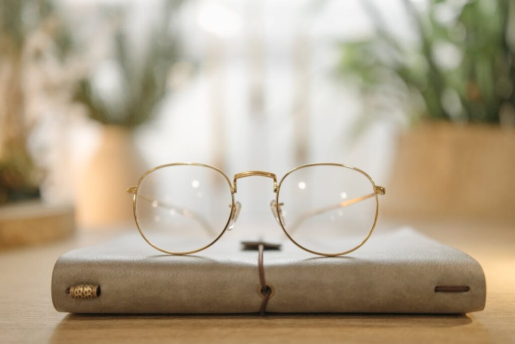 Top Sunglasses Brands in New Zealand